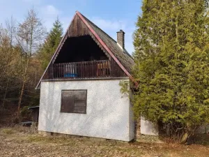 Prodej chaty, Borovnice, 60 m2
