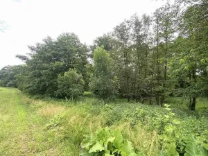 Prodej pozemku, Prusinovice, 2368 m2