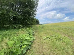 Prodej pozemku, Prusinovice, 2368 m2