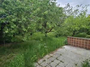 Prodej chaty, Praha - Dejvice, Na Pučálce, 21 m2