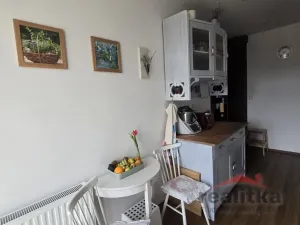 Prodej bytu 4+1, Opava - Předměstí, Pekařská, 115 m2