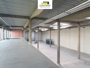 Pronájem obchodního prostoru, Plzeň - Skvrňany, Podnikatelská, 935 m2