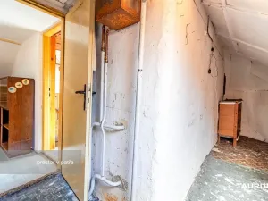 Prodej chalupy, Starý Plzenec, Nádražní, 110 m2