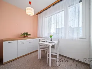 Prodej bytu 3+1, Litoměřice - Předměstí, Družstevní, 70 m2