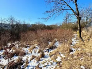 Prodej pozemku pro bydlení, Letovice, 1845 m2