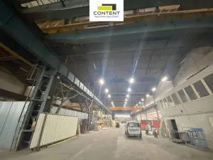 Pronájem skladu, Ostrava - Radvanice, Lihovarská, 1000 m2