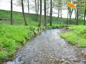 Prodej rodinného domu, Miletín, Arnoldova, 160 m2