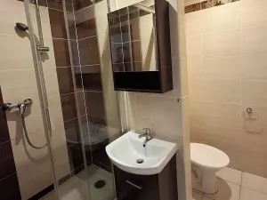 Pronájem bytu 1+kk, Hradec Králové, Jana Masaryka, 35 m2