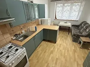 Pronájem vícegeneračního domu, Mladá Boleslav, Jiráskova, 490 m2