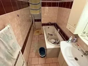 Pronájem vícegeneračního domu, Mladá Boleslav, Jiráskova, 490 m2