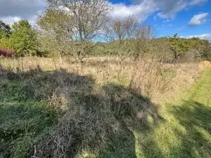 Prodej lesa, Březolupy, 29958 m2