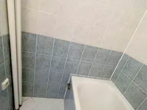 Prodej bytu 3+kk, Praha - Záběhlice, Svojšovická, 54 m2