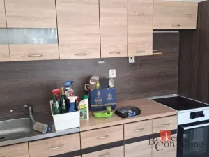 Prodej bytu 1+1, Březová, Cínová, 45 m2