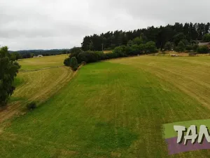 Prodej louky, Hlavice, 24694 m2