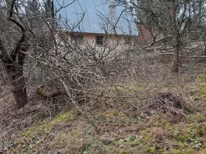 Prodej rodinného domu, Městečko, 55 m2