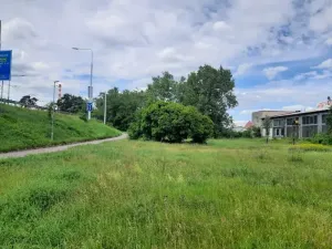 Prodej lesa, Pardubice, 2461 m2