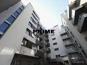 Pronájem bytu 2+kk, Praha - Žižkov, Prokopova, 58 m2