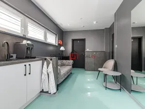 Prodej ubytování, Ostrava, 17. listopadu, 138 m2