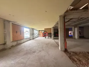 Pronájem skladu, Orlová, Masarykova třída, 200 m2