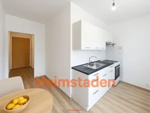 Pronájem bytu 1+1, Ostrava - Hrabůvka, Veverkova, 39 m2