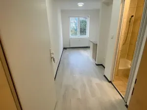 Pronájem bytu 1+kk, Praha - Hlubočepy, Na Zlíchově, 20 m2