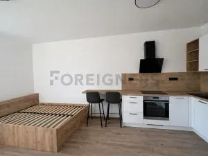 Pronájem bytu 1+kk, Brno, Fryčajova, 30 m2