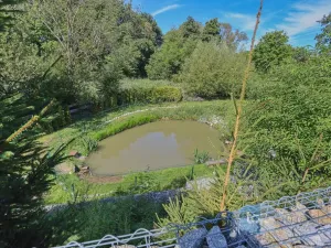 Prodej rodinného domu, Pyšely - Zaječice, Na Dolíku, 698 m2