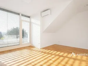 Prodej rodinného domu, Moravany, V Jámách, 382 m2