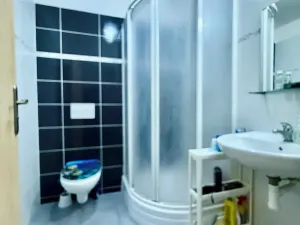 Pronájem bytu 1+kk, Plzeň, Květná, 35 m2