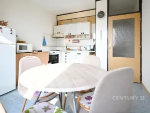 Prodej bytu 1+1, Žatec, Lípová, 40 m2