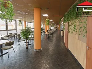 Pronájem restaurace, Praha - Kobylisy, Klapkova, 467 m2