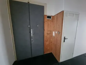 Pronájem bytu 1+1, Brno, bratří Čapků, 55 m2