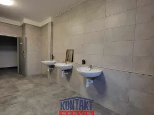 Pronájem kanceláře, České Budějovice, U Smaltovny, 12 m2