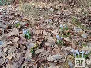 Pronájem chaty, Ledce, 44 m2