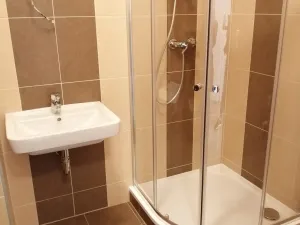 Pronájem bytu 1+kk, Olomouc, Aloise Rašína, 29 m2