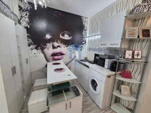 Pronájem bytu 1+kk, Plzeň, Koterovská, 28 m2