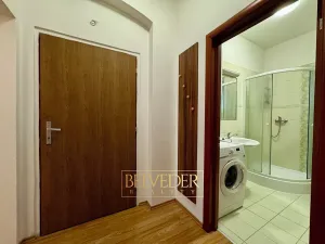Pronájem bytu 2+kk, Teplice, Štúrova, 54 m2