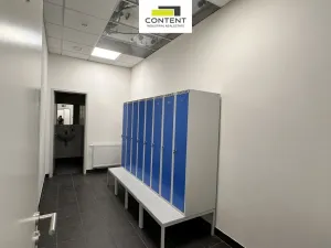 Pronájem skladu, Cheb, Podhradská, 11310 m2