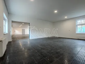 Pronájem skladu, Vestec, Vestecká, 252 m2