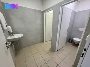 Pronájem obchodního prostoru, Karviná - Fryštát, tř. 17. listopadu, 428 m2