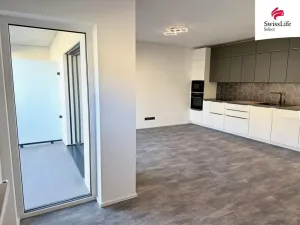 Pronájem bytu 1+kk, Plzeň, Pilařská, 45 m2