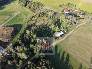 Prodej lesa, Sazomín, 11295 m2