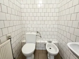 Pronájem komerční nemovitosti, Karviná, Zámecká, 80 m2