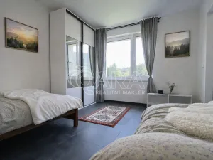 Prodej bytu 1+kk, Město Albrechtice - Hynčice, 22 m2