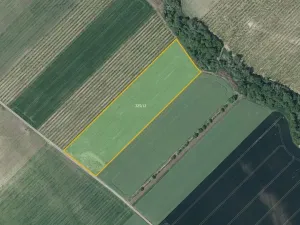 Prodej pole, Želkovice, 21043 m2