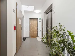 Prodej bytu 1+kk, Praha - Žižkov, Na Vackově, 38 m2