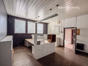 Pronájem výrobních prostor, Praha - Zbraslav, 463 m2