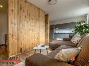 Pronájem bytu 2+kk, Praha - Nusle, U družstva Repo, 51 m2