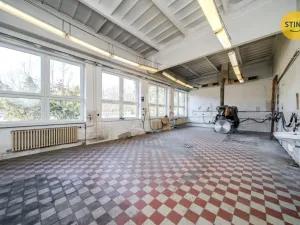 Pronájem komerční nemovitosti, Ostrava, Paskovská, 556 m2