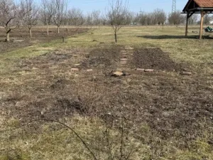 Prodej zahrady, Sokolnice, 420 m2